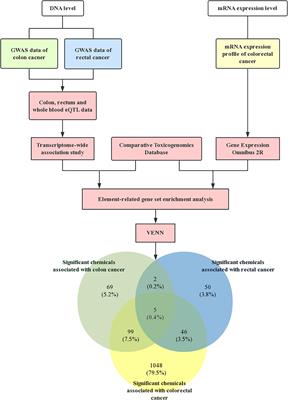 Integrating Genome-Wide Association Studies and Gene Expression Profiles With Chemical-Genes Interaction Networks to Identify Chemicals Associated With Colorectal Cancer